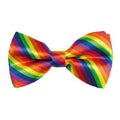 Rainbow Bowtie